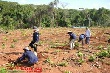 VRG được hỗ trợ hơn 73 tỷ đồng cho lao động người dân tộc thiểu số